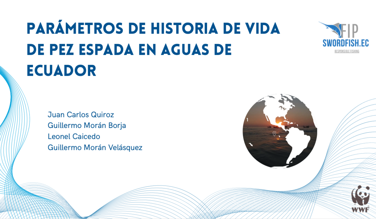 swordfish ecuador pez espada